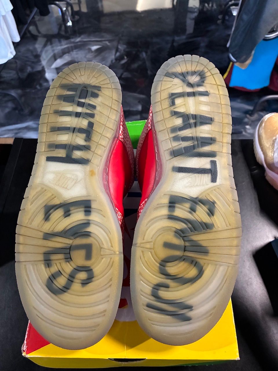 Nike SB Dunk Low Stingwater Magic Mushroom - Used/Worn
