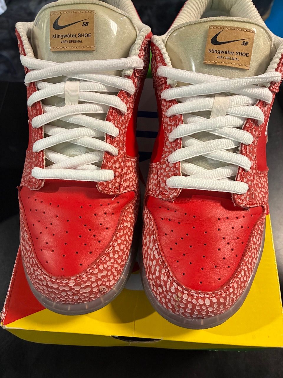 Nike SB Dunk Low Stingwater Magic Mushroom - Used/Worn