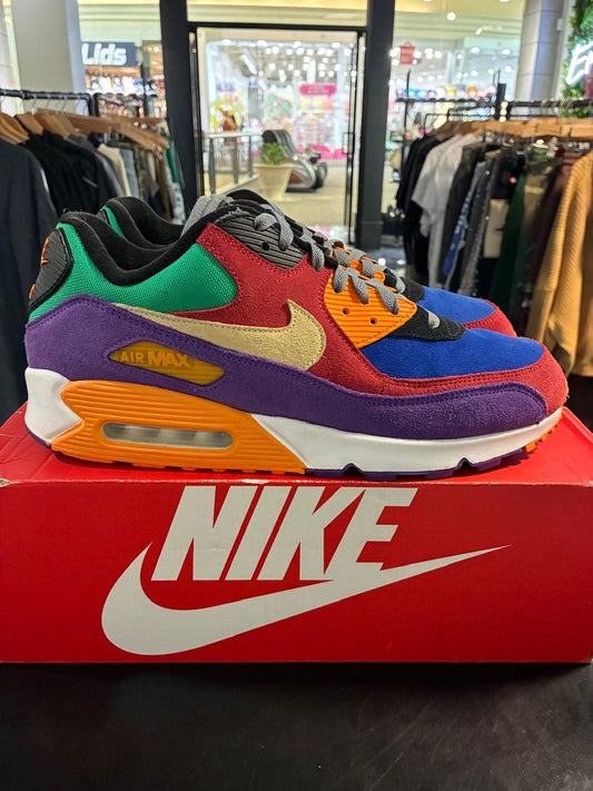 Nike Air Max 90 Viotech OG - Used/Worn