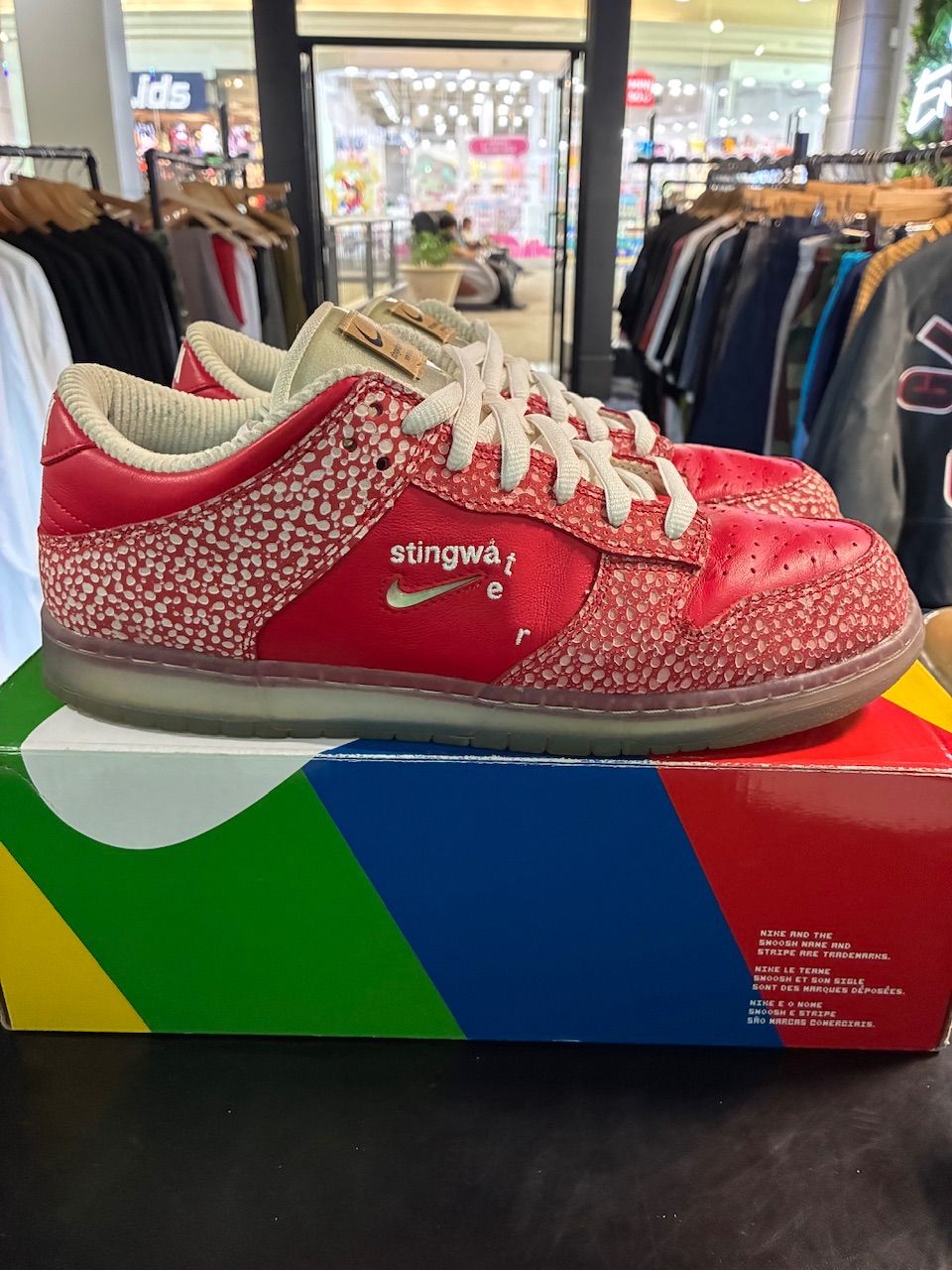 Nike SB Dunk Low Stingwater Magic Mushroom - Used/Worn