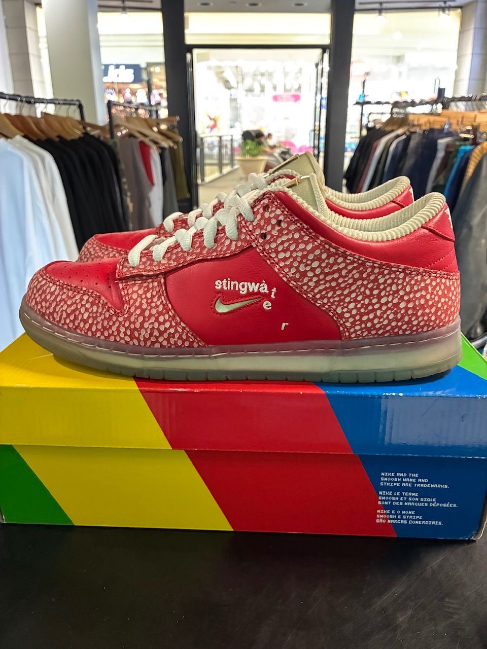 Nike SB Dunk Low Stingwater Magic Mushroom - Used/Worn