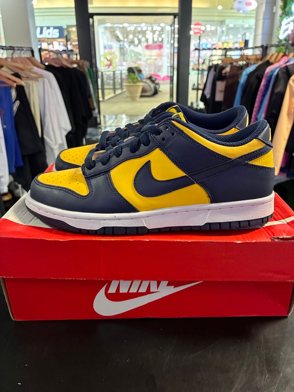 Nike Dunk Low Michigan (2021/2024) (GS) - Used/Worn