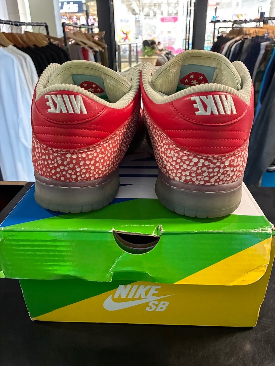 Nike SB Dunk Low Stingwater Magic Mushroom - Used/Worn