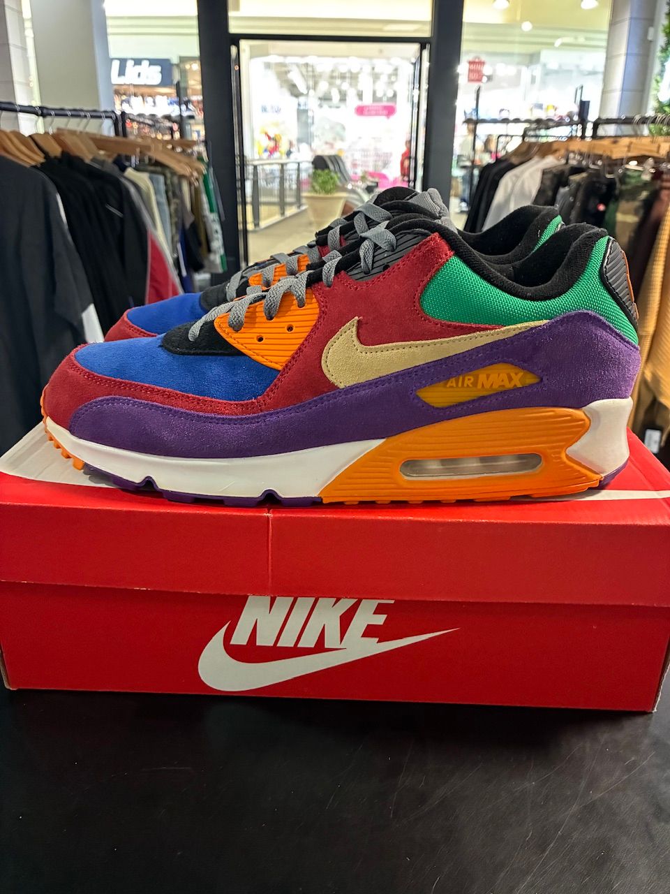 Nike Air Max 90 Viotech OG - Used/Worn