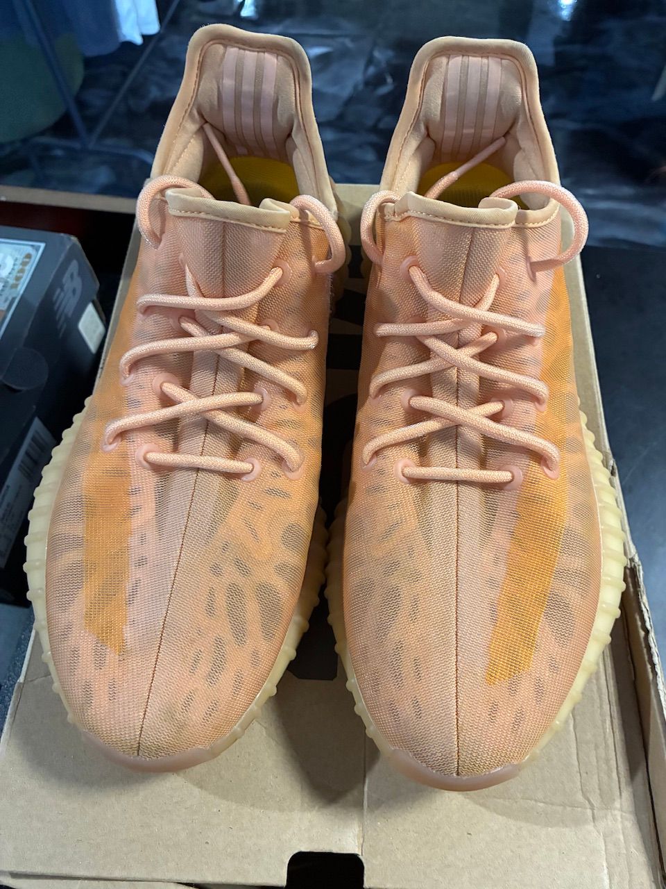 adidas Yeezy Boost 350 V2 Mono Clay - Used/Worn